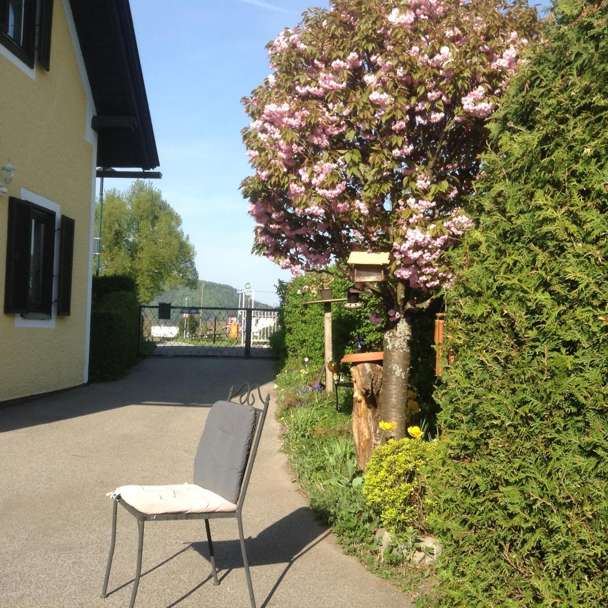 Ferienhaus Inselweg 팍암시 외부 사진