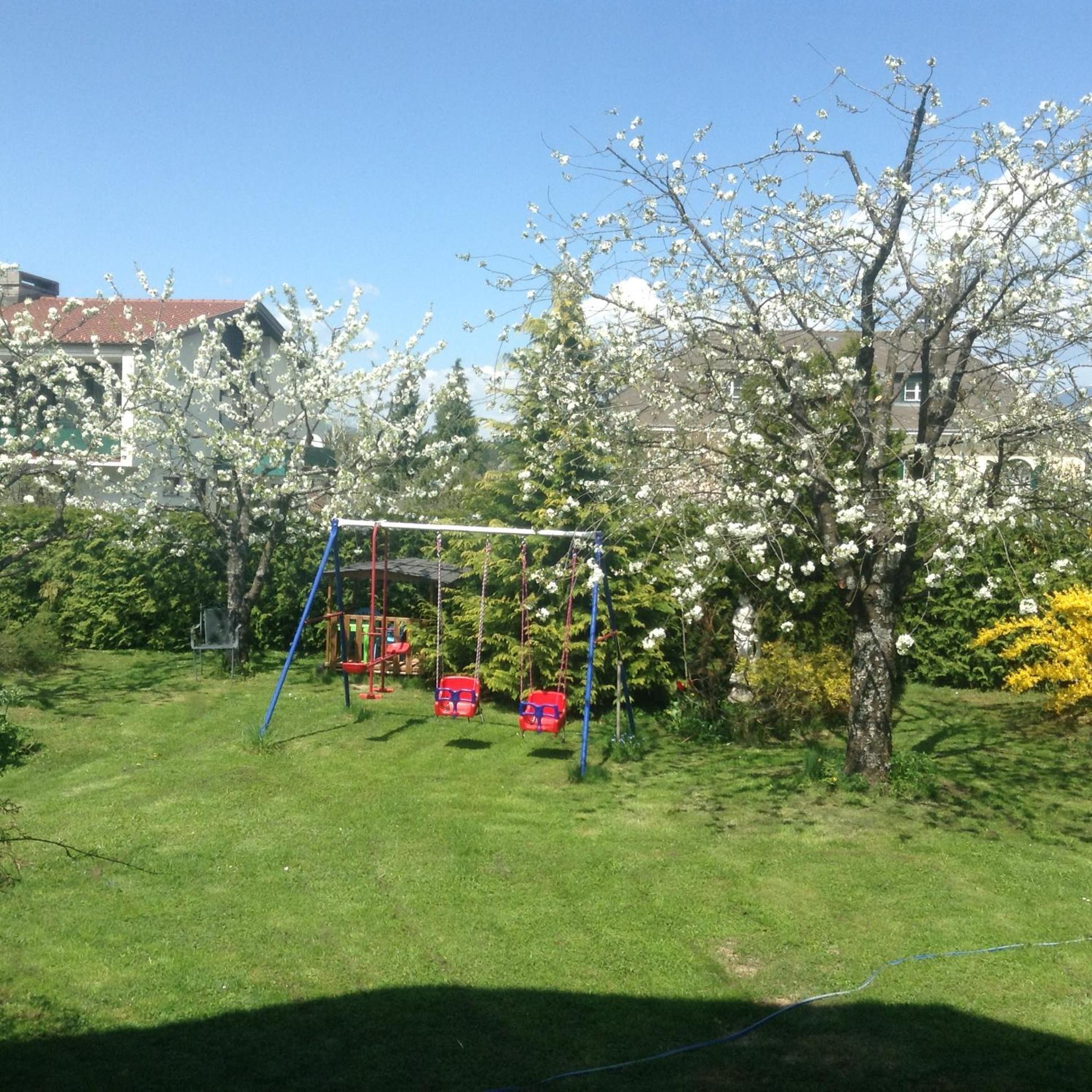 Ferienhaus Inselweg 팍암시 외부 사진